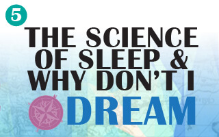 The Science of Sleep & Why Don’t I Dream